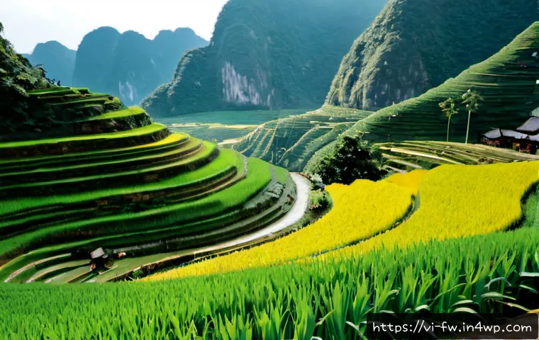 Sốc văn hóa khi sống và làm việc ở môi trường mới: Cách chấp nhận thực tế để thích nghi bền vững 4 문화 충격과 현실 수용의 중요성 관련 이미지 2